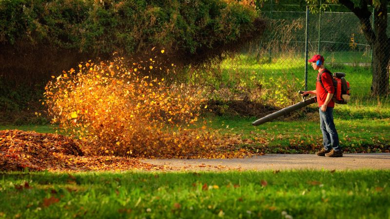 Fall Leaf Removal Service