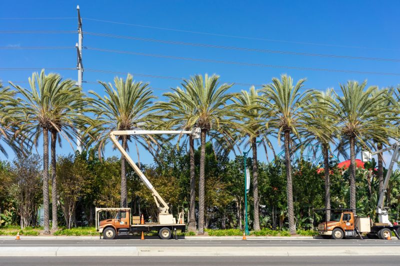 Quick Maintenance Habit