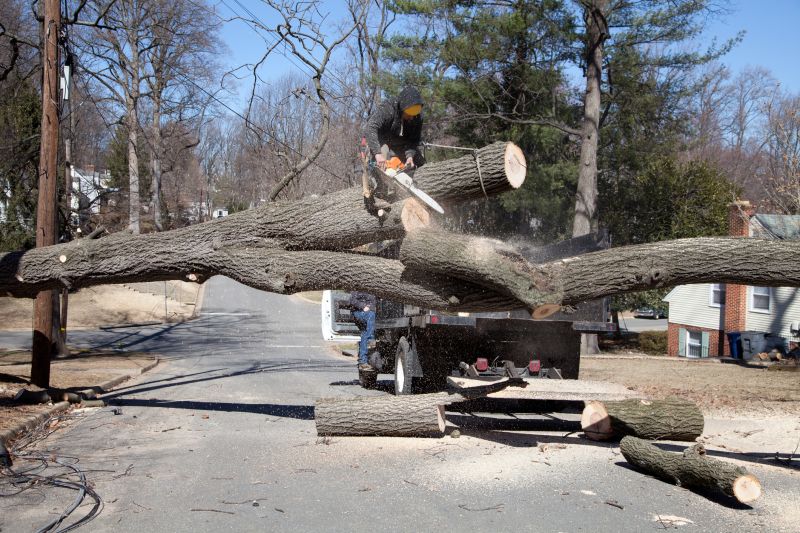 Tree Removal Service in Bucks County, PA